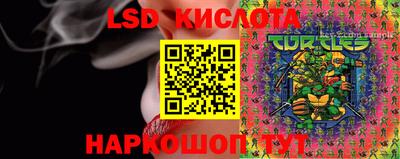 синтетический гашиш Кингисепп