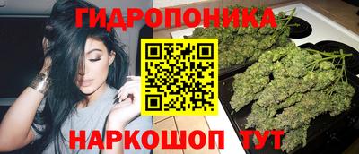 спиды Кимры
