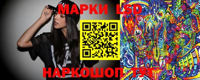 спиды Кимры