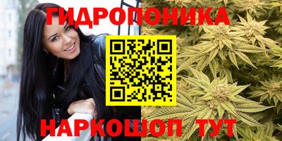 спиды Кимры