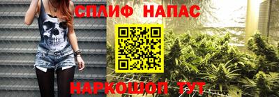 spice Кинель